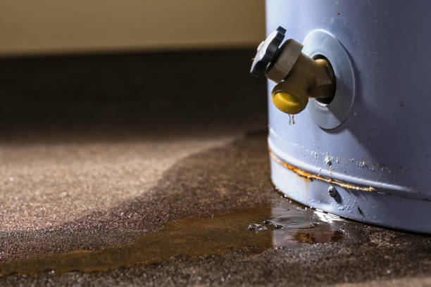 Best Flood restoration services  in Lumberton, NC