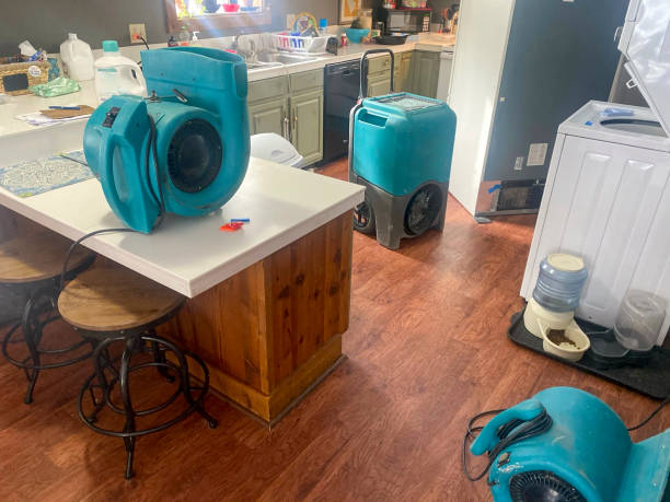 Best Flood damage cleanup  in Lumberton, NC