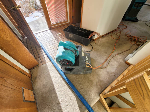 Best Water damage cleanup near me  in Lumberton, NC