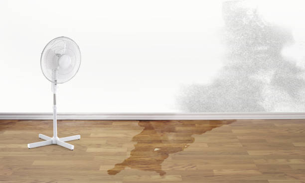 Best Flooded house restoration  in Lumberton, NC