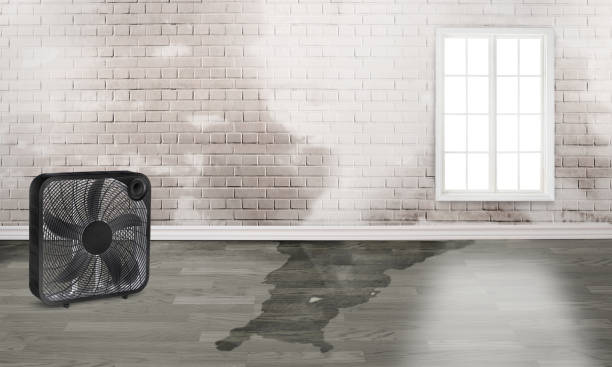 Best Emergency water damage restoration  in Lumberton, NC