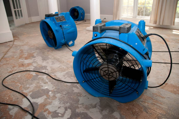 Best Water damage restoration near me  in Lumberton, NC