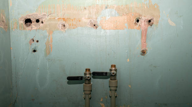 Best Basement water damage restoration  in Lumberton, NC
