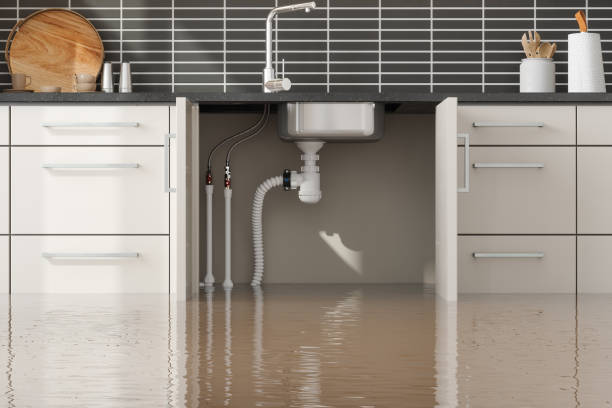 Best Sewage cleanup and water damage restoration  in Lumberton, NC