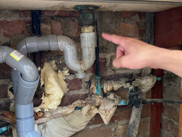 Best Flood damage cleanup  in Lumberton, NC